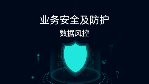 【互联网安全】业务安全及防护（数据风控）